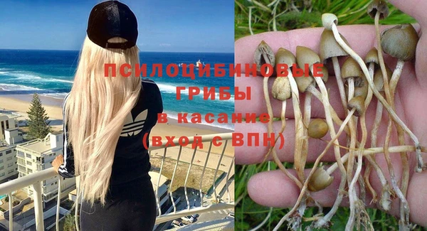 ALPHA PVP Ростов
