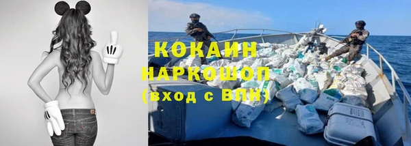 мдпв Верхний Тагил