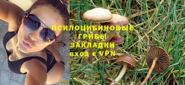 шишки Бронницы