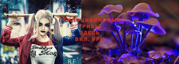 гидра Бугульма