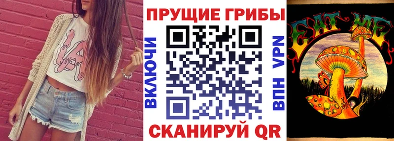 купить   Весьегонск  Псилоцибиновые грибы ЛСД 